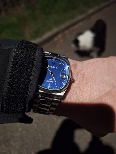 17768262934038608855804703367185