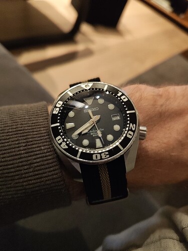 17660832176778204989465115729133