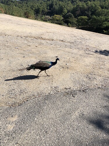 48DDF6D7-DA0E-449A-8733-48BE09A5AD3C-300-0000002E04F051CA