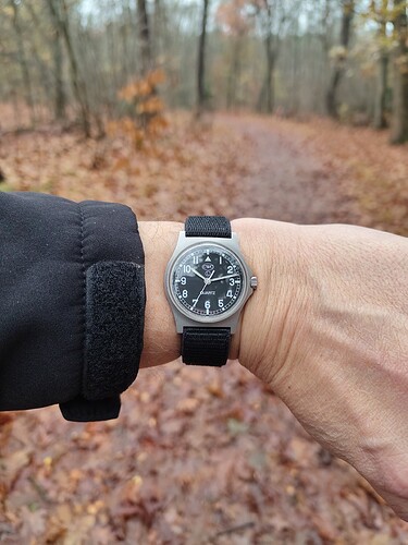 IMG_20251116_101235597_HDR