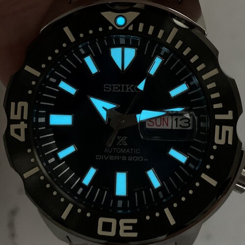SRPD25-009
