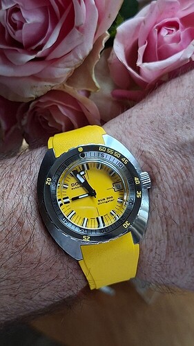 e9e2ed1e0aeae43277ba98a6f0757f6f50ecf595_2_562x1000