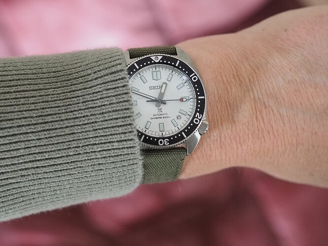 Seiko Slim Turtle SPB313 (18)