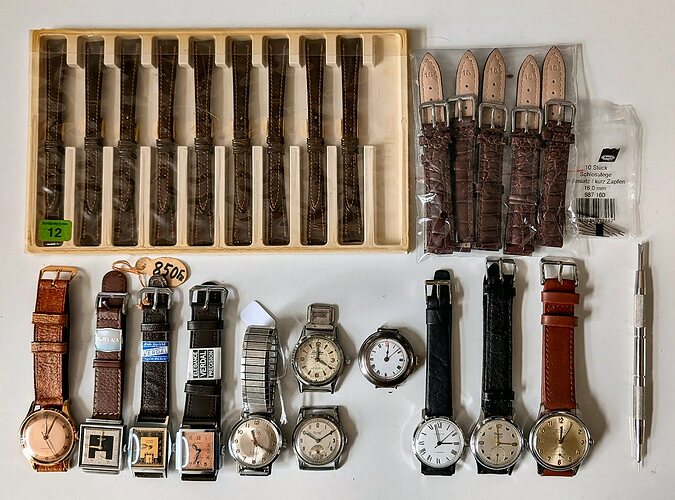 PXL_20260119_110542722