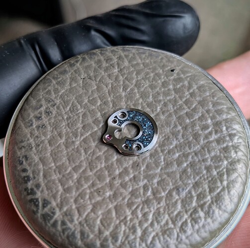 PXL_20251019_140802260.MACRO_FOCUS~3