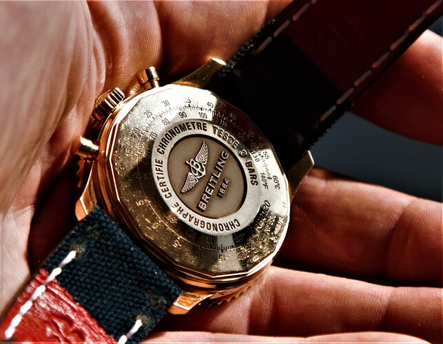 6yr7iytujnyunkjyumyujmt (4)