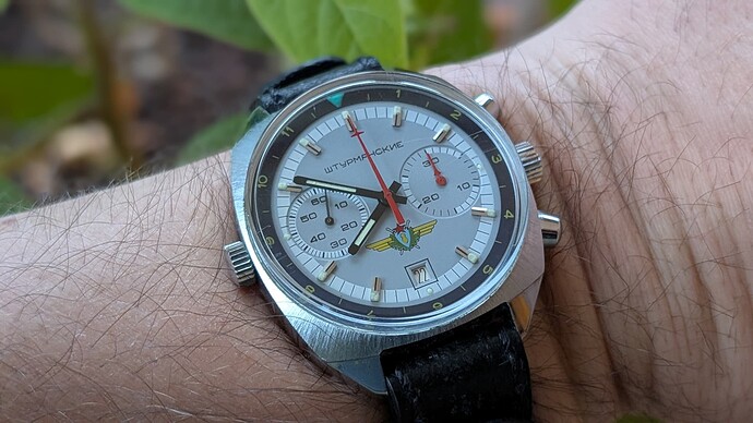 PXL_20251121_065022331.PORTRAIT