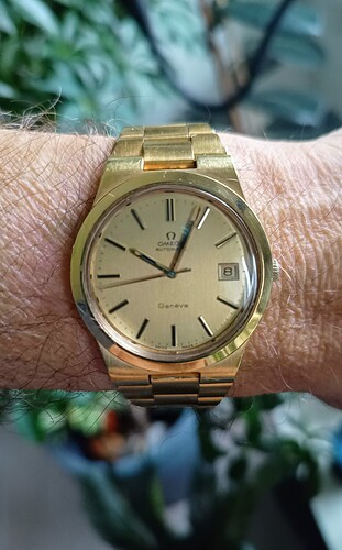 IMG_20241208_100439851