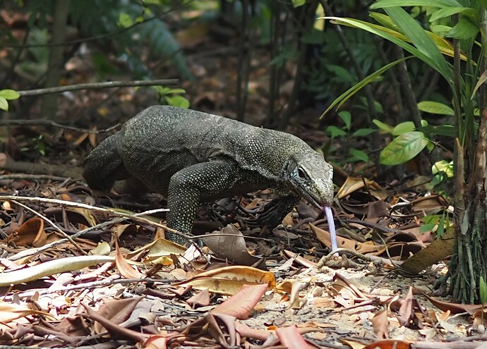 Singapore 02