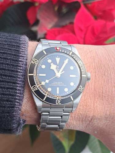 17669162807398683931135547281123