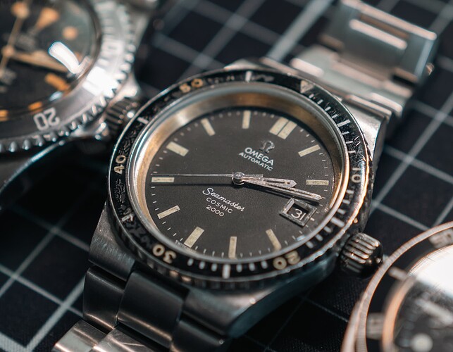 20260131_sotc_duikers-2