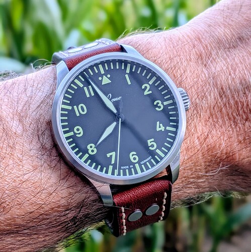 PXL_20260901_175634941.PORTRAIT~2
