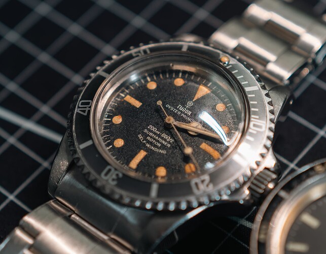 20260131_sotc_duikers-1