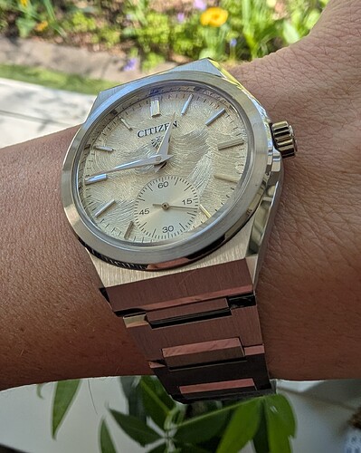 PXL_20260407_104508047_1