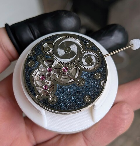 PXL_20251031_131658637.MACRO_FOCUS~2