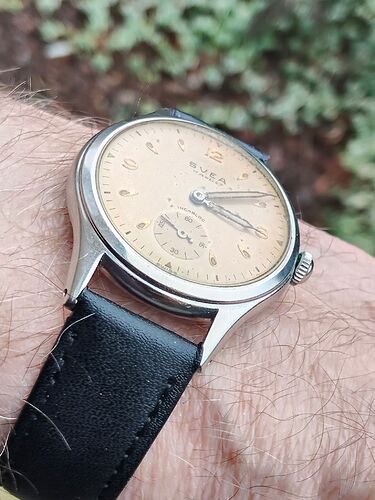 IMG20260213152111    3