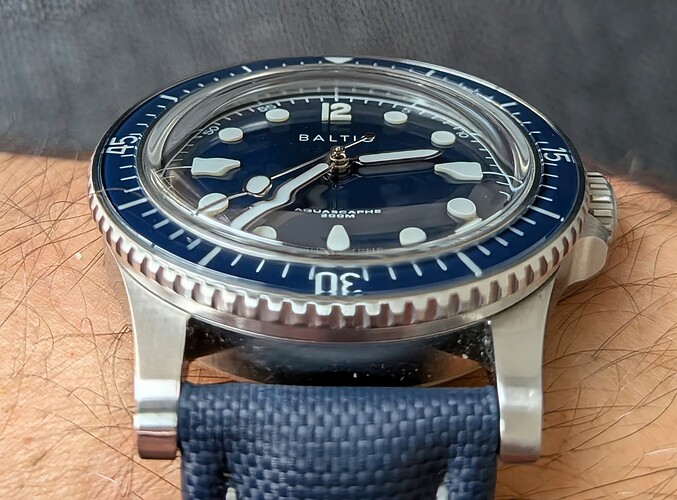 PXL_20260222_133625713.MACRO_FOCUS~2