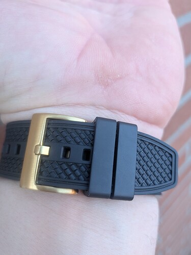 PXL_20260303_091615359.MACRO_FOCUS