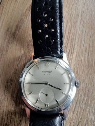 17604495086517174458662795770241