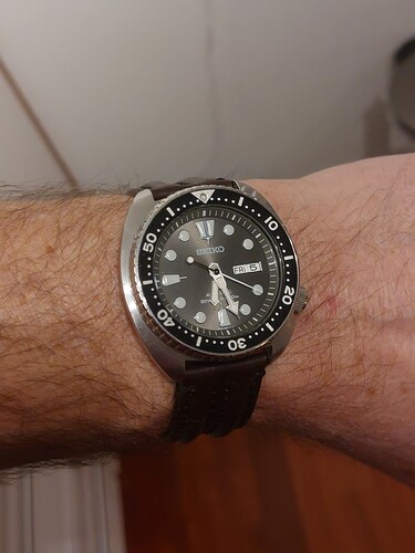 17649556401843673341350895257973