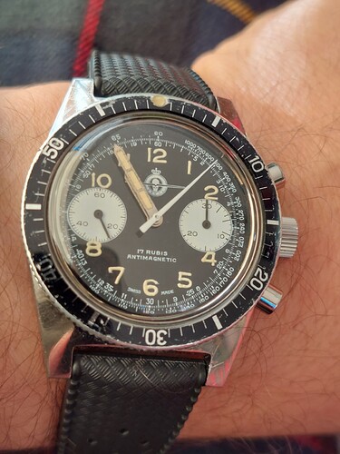 17666565113013217740466409243843