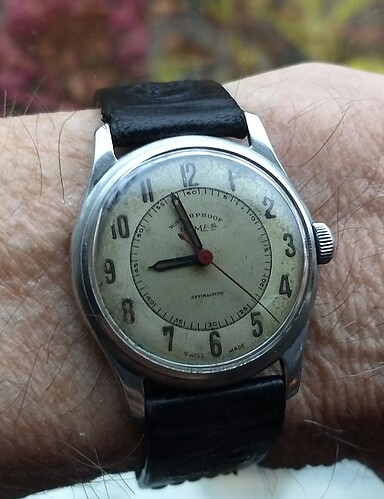 IMG_20251205_085736848~2