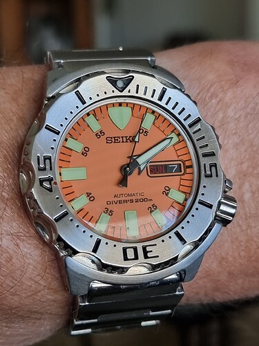 1757246947544733165110663916521