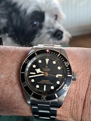 17666521453038357279912060544365