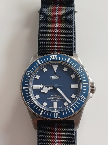 17770981550061896544738177373338