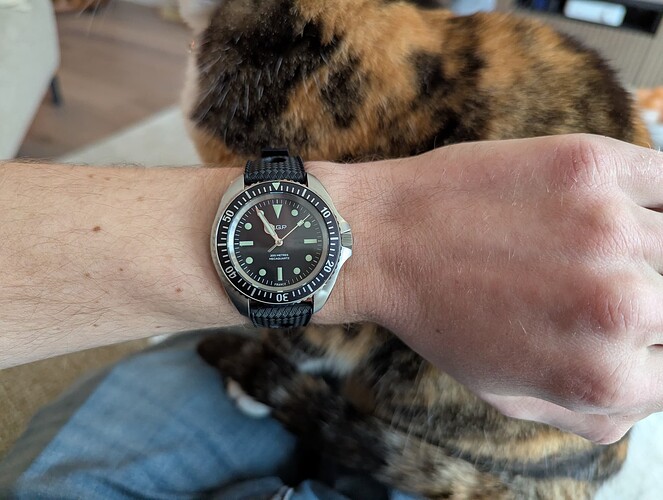 PXL_20260208_095451391