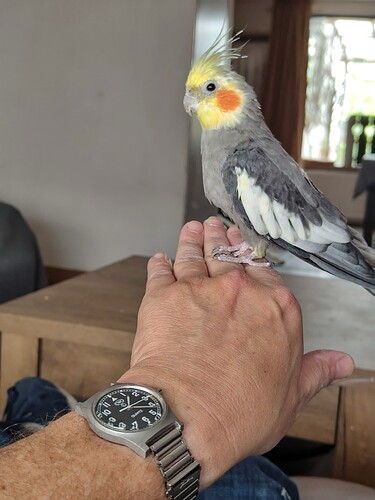 IMG_20251004_132216426