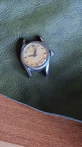 IMG-20260805-WA0019