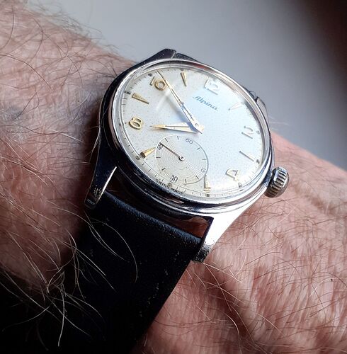 ALPINA CAL 592