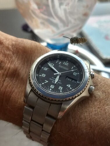 IMG_20260719_174953294_HDR~2