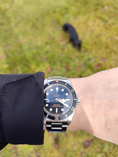 17713381205231154598893530550165