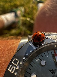 IMG_9147