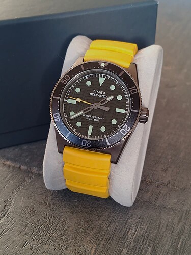 TIMEX DEF001