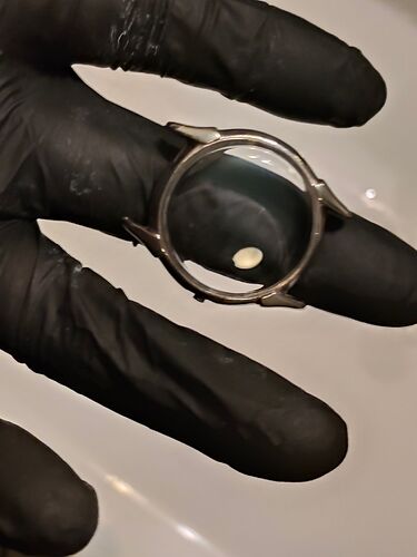 IMG20260203022211   1