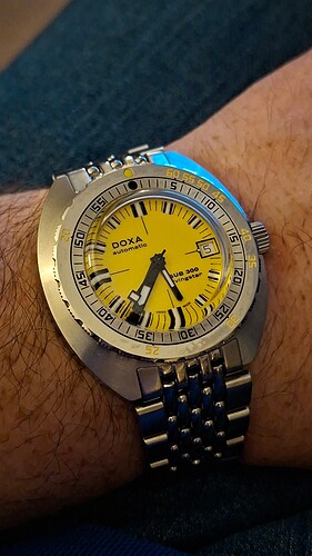 17703093727074554643661981670395