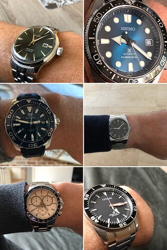 20260125_081009-COLLAGE