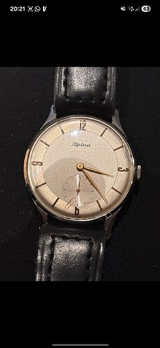 Screenshot_20260319_202136_Vinted