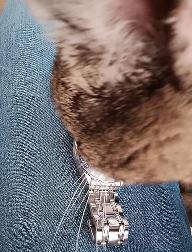 IMG_20251026_155315228~2