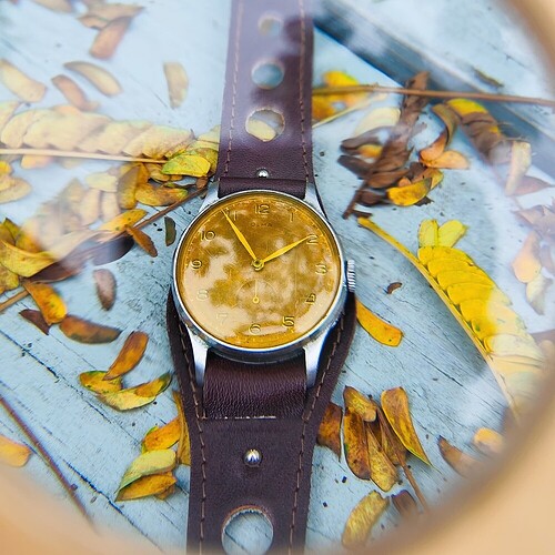 8d1530e9ca5860e11ce6f135f2dce9abba47bf87_2_1000x1000