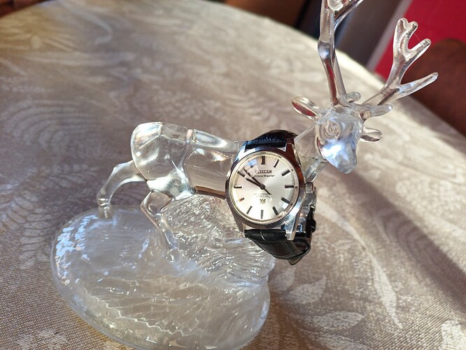 IMG_20260208_095246_228