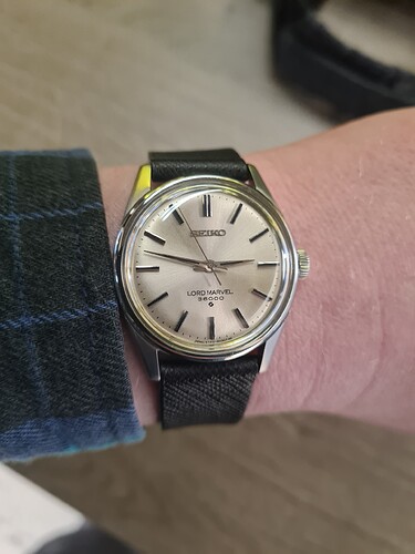 17708176950688001602778335877402