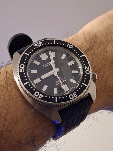 17704945967307010969004435975878