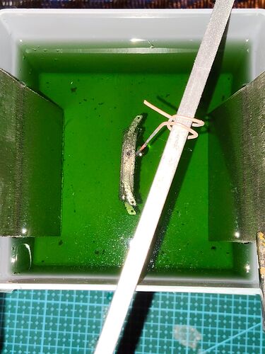 Kast hangt in nikkelbad