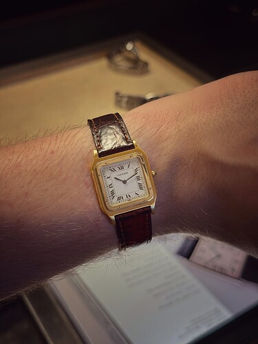 IMG_6008_SnapseedCopy