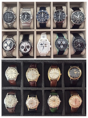 5C6E98B0-280B-41FC-8CA0-5360C397935E-COLLAGE