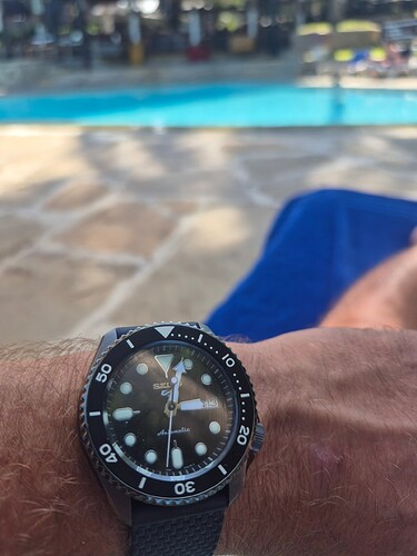 17603570485452483562789072119801